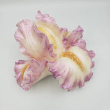 Load image into Gallery viewer, Cocoa, Mango & Shea Butters Soap Bar