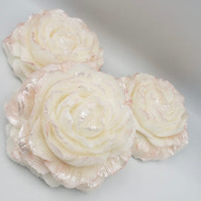 Load image into Gallery viewer, Cocoa, Mango & Shea Butters Soap Bar