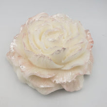 Load image into Gallery viewer, Cocoa, Mango & Shea Butters Soap Bar