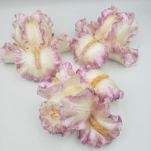 Load image into Gallery viewer, Cocoa, Mango & Shea Butters Soap Bar